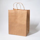 Bolsa Kraft con Manija Mediana #30