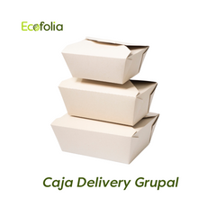Caja Delivery 67 oz
