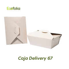 Caja Delivery 67 oz
