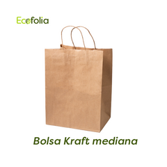 Bolsa Kraft con Manija Mediana #30
