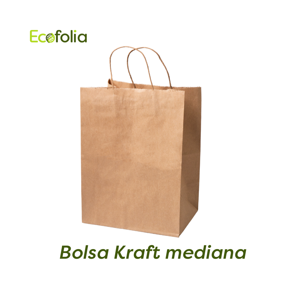Bolsa Kraft con Manija Mediana #30